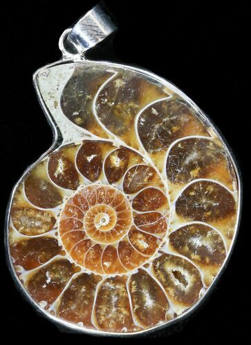 Fossil Ammonite Pendant - Million Years Old #37907